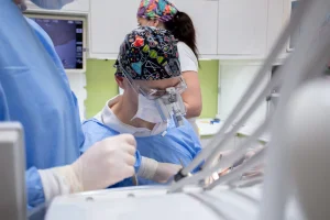 Kuźmińscy Stomatologia 